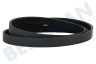 Haier Waschmaschine 0020300592 Antriebsriemen 1216EPJ6
