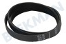 Haier Waschmaschine 0020300592 Antriebsriemen 1216EPJ6