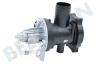 Haier Waschmaschine 0020400241 Pumpe Ablaufpumpe Pumpe mit Pumpengehäuse