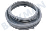 Hisense Waschmaschine HK1913551 Manschette Türmanschette