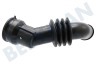 Hisense Waschmaschine Schlauch Wanne - Pumpe
