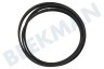 Hisense Waschmaschine Keilrippenriemen 5EPJ1270