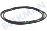 Hisense Waschmaschine Gummidichtung
