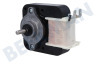 Hisense Waschmaschine Motor des Ventilators
