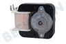 Hisense Waschmaschine Motor des Ventilators