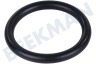 Electra Trockner O-Ring Wassertank