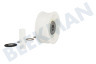 Zanussi Trockner Spannrolle Breit -mit 2 Lager-