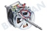 AEG Wasdroger Motor Aandrijfmotor