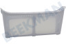 Hotpoint-ariston Wasdroger Filter Pluizen -in deur-