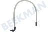 Hoover Trockner Ablaufschlauch