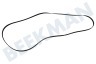 Ariston Wasdroger 95658, C00095658 Poly-V-snaar 1860 H7 TEM