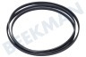 Miele Wasdroger Poly-V-snaar geschikt voor Miele 1915 PJ5