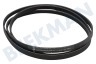 Universeel Wasdroger Poly-V-snaar geschikt voor Miele 5PJ 1880