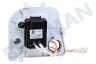 Whirlpool Trockner Pumpe Ablaufpumpe, 13W