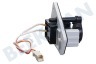 Whirlpool Trockner Pumpe Kondensatpumpe