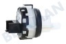 Pelgrim Spülmaschine Sensor optisch + NTC