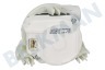 Electrolux Vaatwasser 1113170003 Circulatiepomp