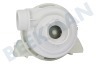 Electrolux Vaatwasser 1113170003 Circulatiepomp