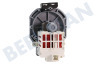 Indesit Vaatwasser 303737, C00303737 Pomp Circulatie -Askoll-