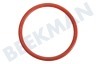 Bosch Vaatwasser 614930, 00614930 Afdichtingsrubber Van deksel zeoliet container
