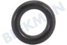 ASKO Vaatwasser O-ring