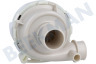 Candy Vaatwasser Pomp Circulatiepomp