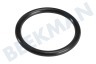 Gorenje Vaatwasser 88017922 Ring Van standpijp 31.5x3.55