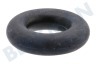 Grundig Vaatwasser O-ring
