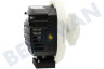 Hotpoint-ariston Vaatwasser Pomp Circulatiepomp