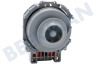 Ignis Spülmaschine Pumpe Umwälzpumpe