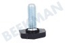 Bauknecht Vaatwasser C00326371 Stelpoot