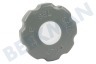 Gorenje Vaatwasser 413642 Dop van Zoutvat
