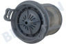 Smeg Vaatwasser Filter Filter, zeef