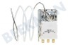 Miele Koelkast Thermostaat K59L2677 3 cont. Cap.L=60cm
