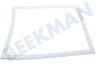 Unknown Kühlschrank Dichtungsgummi Gefrierteil