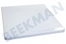 Zanussi Koelkast Bovenblad Plastic