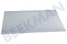 Electrolux Koelkast Glasplaat Met strippen