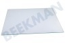 Electrolux Koelkast 2249119013 Groentebakdeksel