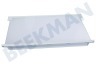 Electrolux Kühlschrank 2251639205 Glasplatte komplett