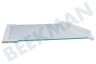 Electrolux Kühlschrank 2251639205 Glasplatte komplett