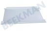 Electrolux Kühlschrank 2251639205 Glasplatte komplett