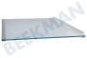 Electrolux Koelkast 140166294011 Glasplaat Compleet