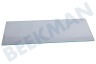 AEG Koelkast 2064451145 Glasplaat