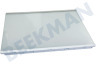 AEG Koelkast 2651087062 Glasplaat Compleet, Neutraal