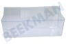 Koenic Kühlschrank Gemüsefach Transparent, 450 x 201,5 mm