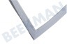 Indesit Koelkast 115392, C00115392 Afdichtingsrubber 972x554mm