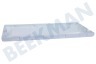 Indesit Koelkast 46309, C00046309 Frontpaneel