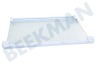 Hotpoint-ariston Koelkast 517626, C00517626 Glasplaat 434x292x4mm