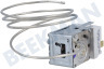 Wegawhite Koelkast Thermostaat Atea A130696R