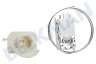 Fagor Kühlschrank Thermostat 3 Kont. A13 0701